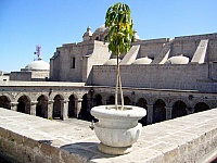 P1040230