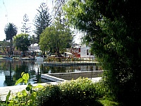 P1050488