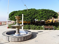 P4031130