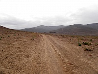 P4031155