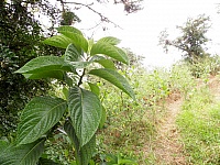 P4031291