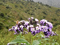P4031330