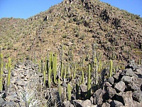 P1110509