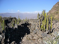 P1110512
