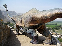 P1110032
