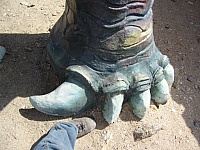 P1110049