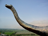 cabeza-larga-dinosaurio-querulpa