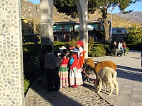 Chivay