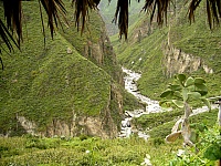 Colca Canyon Trekking Peru