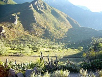P1250578