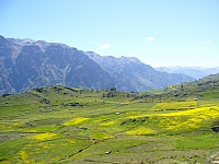 P1250407