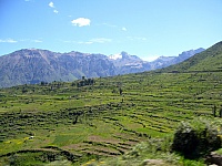 Andenerias en el Colca