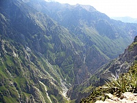 Colca
