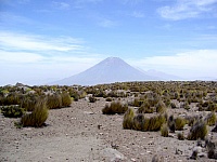 P1100331
