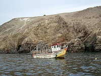 Charlies Catarindo