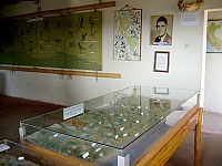 P1130034