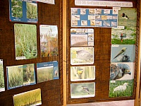 P1130035