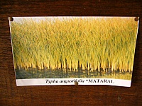 P1130047