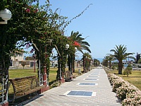 P1360869