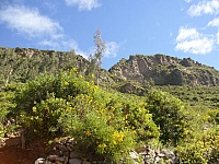 P1430178