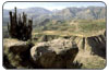 Valle del Colca - Chivay