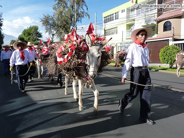P1310766