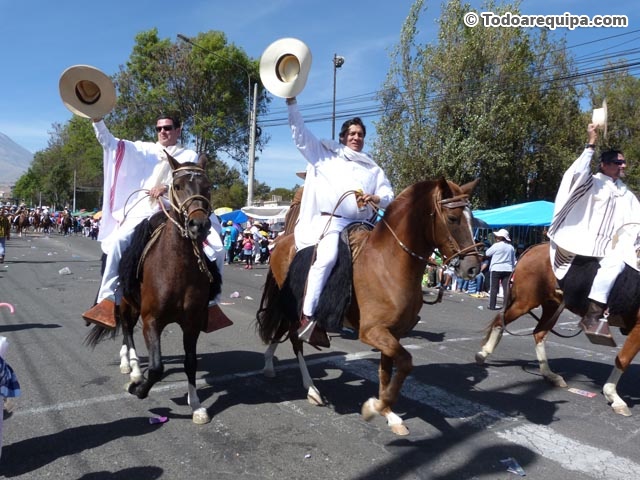 Caballos de paso