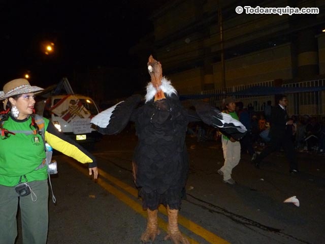 Disfraz de Cóndor