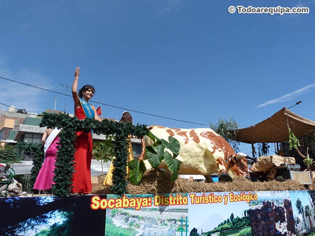 P1320615