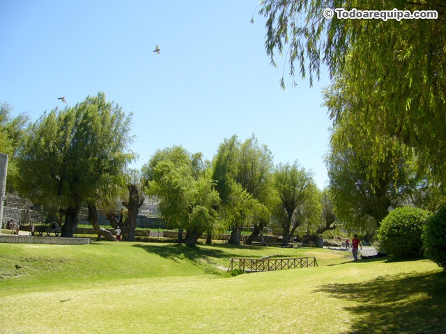 sabandia-arequipa