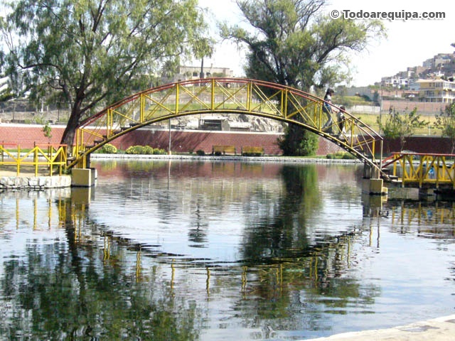 tingo-arequipa