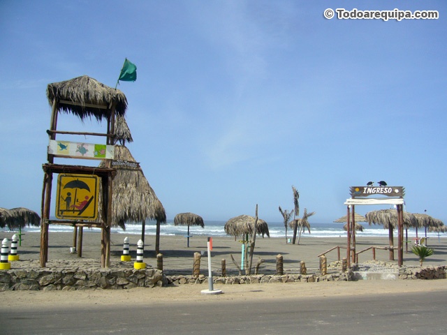 las-tortugas-decamana