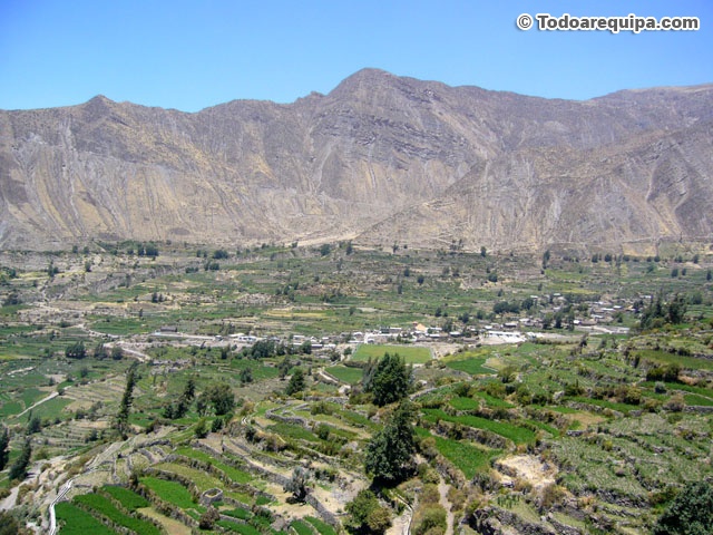paisaje-chachas