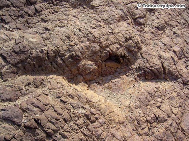 Huella de dinosaurio