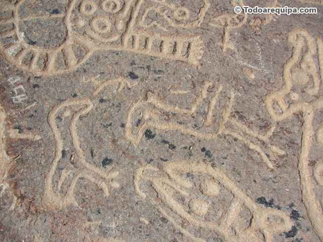 Grabados antiguos en piedra volcanica en Toro Muerto Arequipa