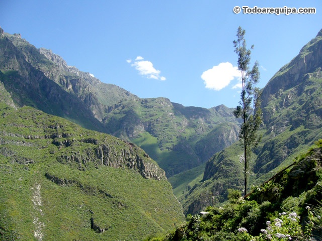 paisaje-natural-en-el-colca