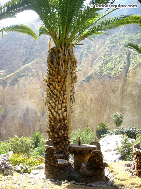 P1250517