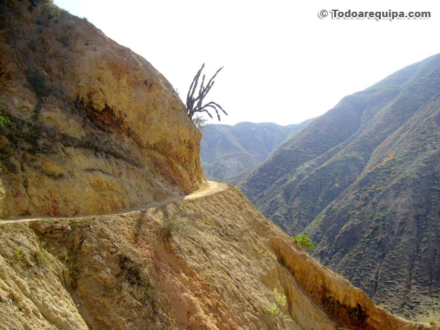 Camino muy cerca a Sangalle