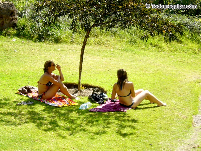 Turistas tomando baños de sol en Oasis Paraiso