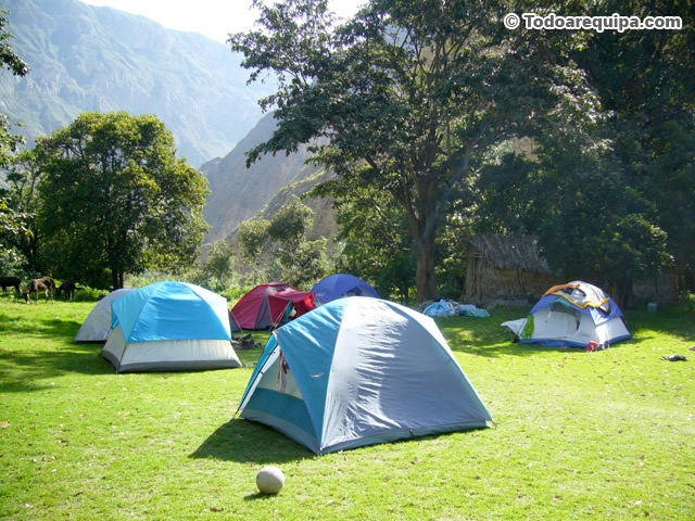 Zona de Camping en Oasis Paraiso - Sangalle