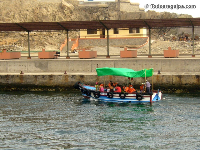 Paseos desde el Muelle