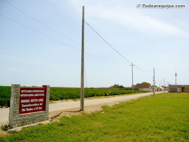P1400208