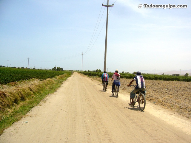 camino-al-pueblo-catas