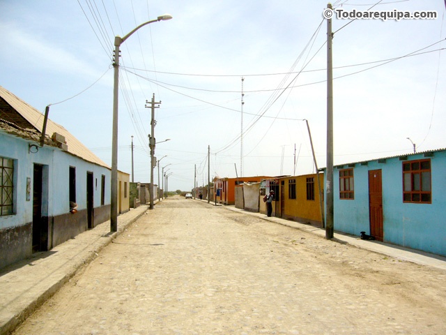 Catas