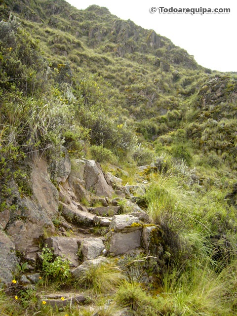 P1430373