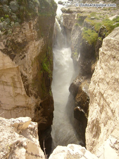 P1420883