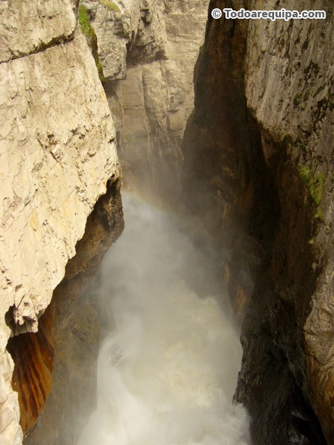 P1420929