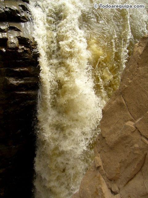 P1420931