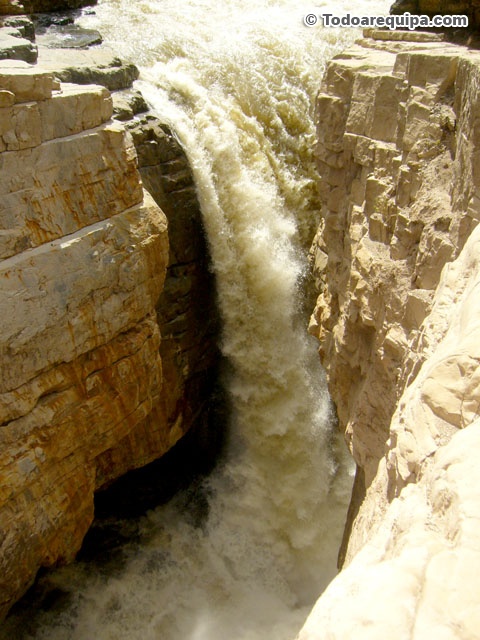 P1420973