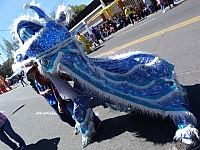 Baile del dragón